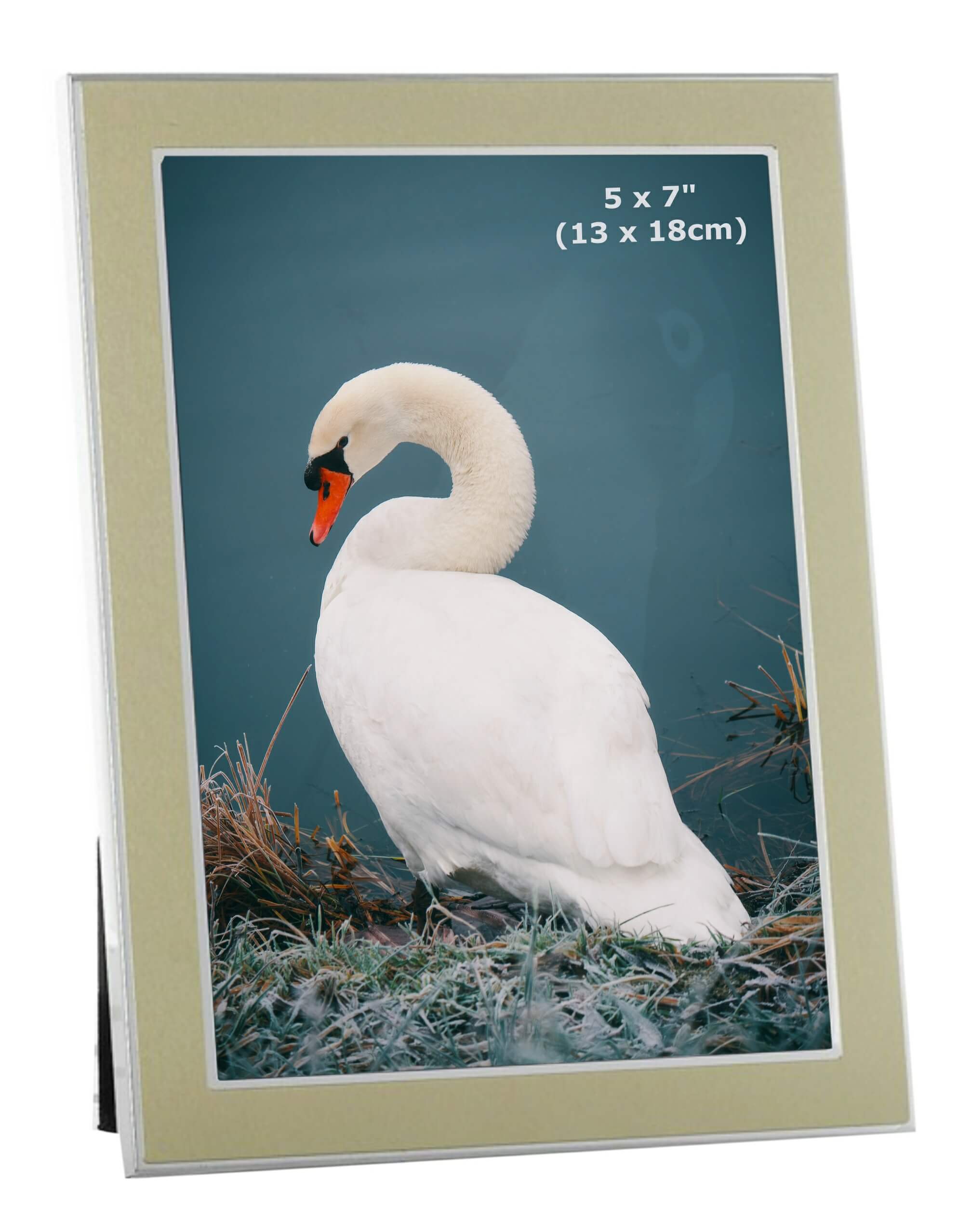 gold photo frame 5 x 7