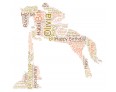 Personalised Word Art Print Show Jumping Horse Racing Equitation Gifts