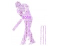 Personalised Word Art Print Cricket Player With Bat & Ball Gift