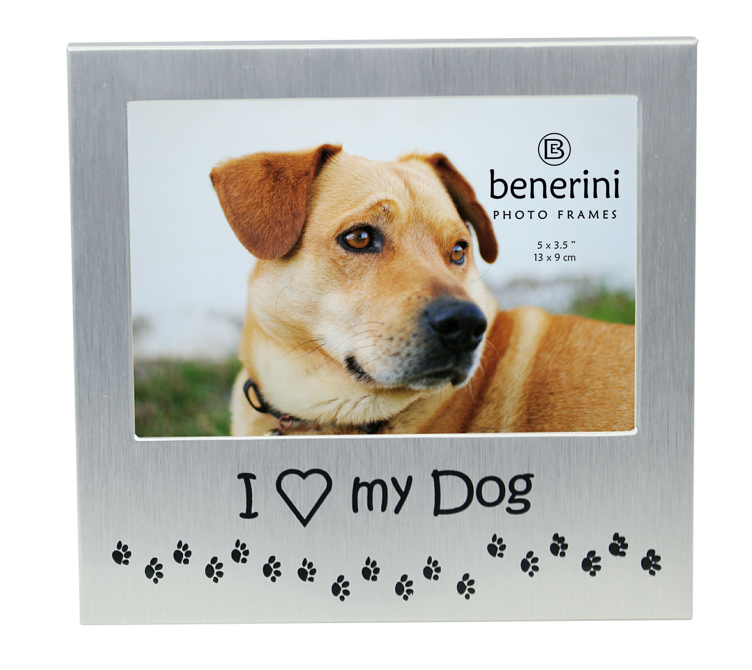 amazon dog picture frames